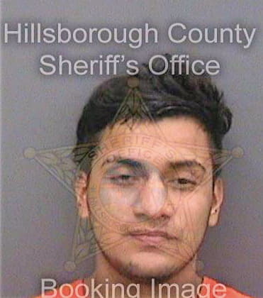 Lopezsosa Jonathan - Hillsborough County, FL 