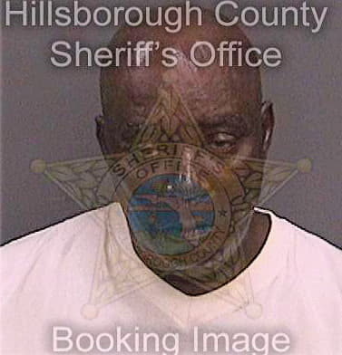 Ellis Errol - Hillsborough County, FL 