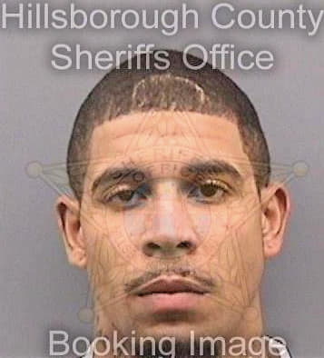 Simon Deandre - Hillsborough County, FL 