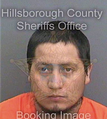 Eliasvazquez Abraham - Hillsborough County, FL 