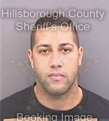 Costasmiranda Jesus - Hillsborough County, FL 