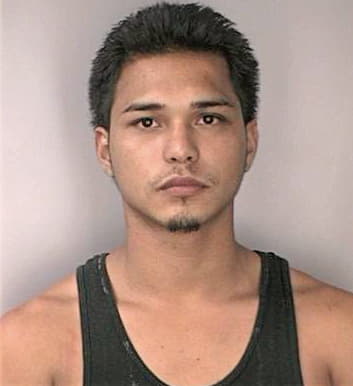 Ramirez Rafael - Hillsborough County, FL 