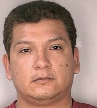 Ramirez Gerardo - Hillsborough County, FL 