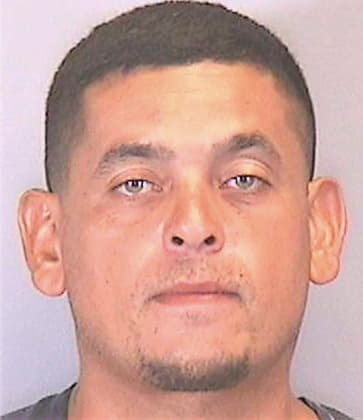 Romero Edgardo - Manatee County, FL 