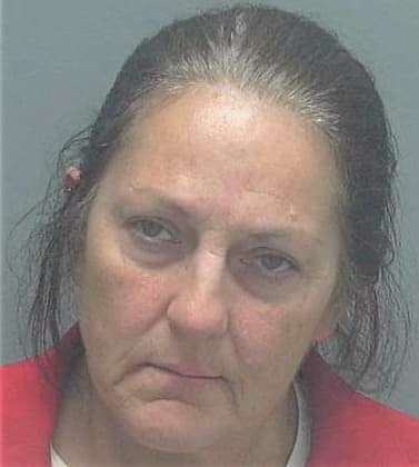 Smith Lysa - Lee County, FL 