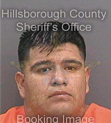 Tlanepantla Sergio - Hillsborough County, FL 