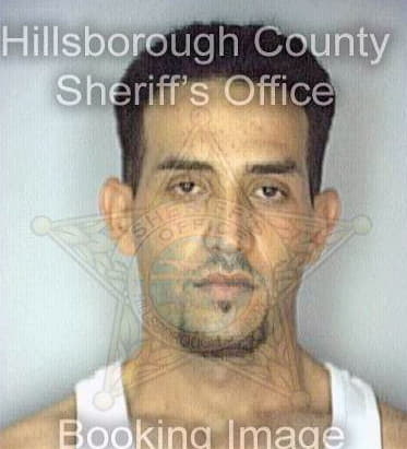 Santos Luis - Hillsborough County, FL 