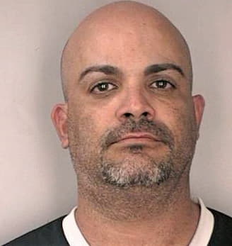 Melendezalvarado Luis - Hillsborough County, FL 