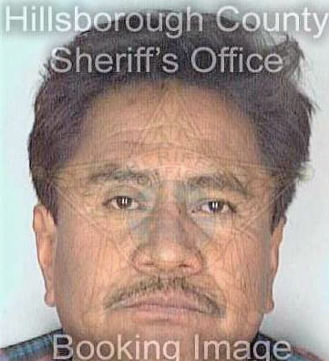 Ramirezcamacho Roberto - Hillsborough County, FL 