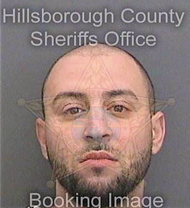 Brito Gabriel - Hillsborough County, FL 