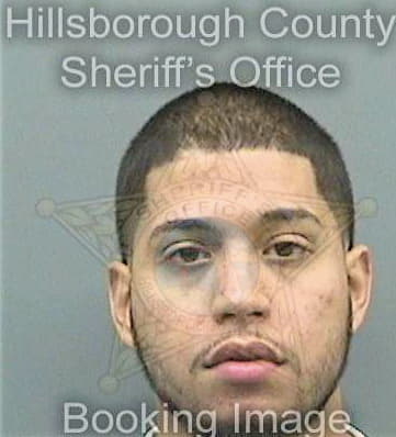 Fernandezcartagena Felix - Hillsborough County, FL 