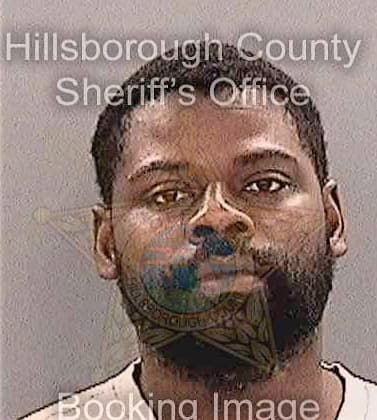 Mcintyre Remer - Hillsborough County, FL 