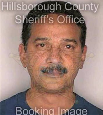 Lopez Eliu - Hillsborough County, FL 