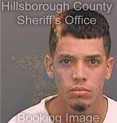 Basorahernandez Emanuel - Hillsborough County, FL 