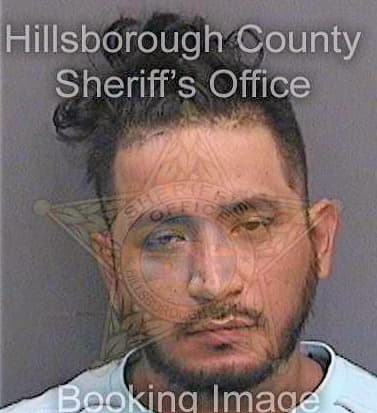 Cruz Jose - Hillsborough County, FL 