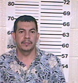 Sanchez Aniceto - Hidalgo County, TX 