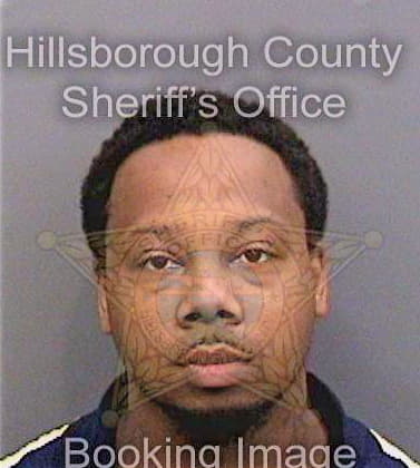 Davis Adaryl - Hillsborough County, FL 