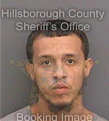 Ortiz Anthony - Hillsborough County, FL 