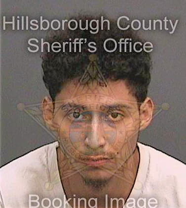 Gomez Danilo - Hillsborough County, FL 