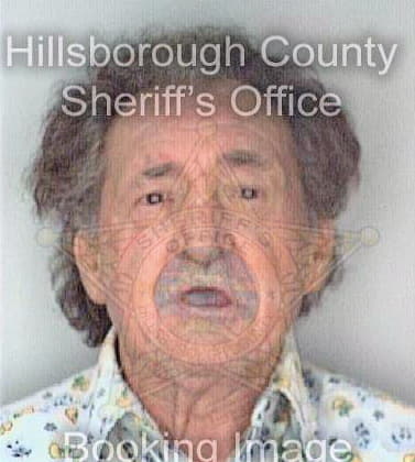 Dennis Ernest - Hillsborough County, FL 