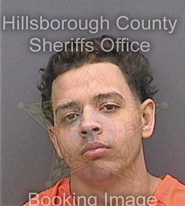 Blanco Lewis - Hillsborough County, FL 
