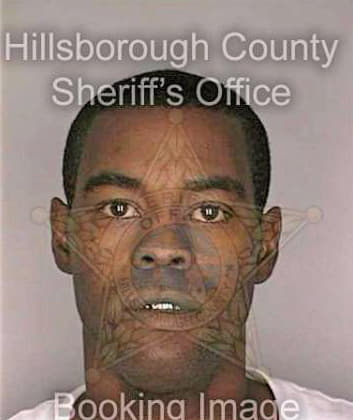 Simpson Michael - Hillsborough County, FL 