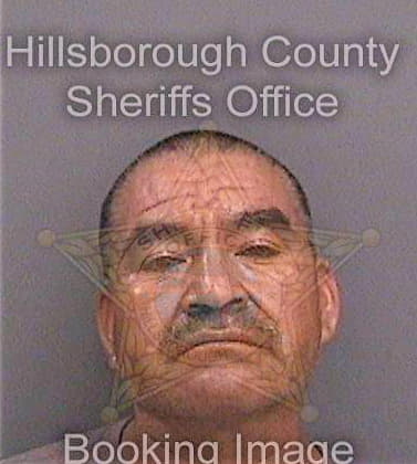 Jimenezvelasquez Rodolfo - Hillsborough County, FL 