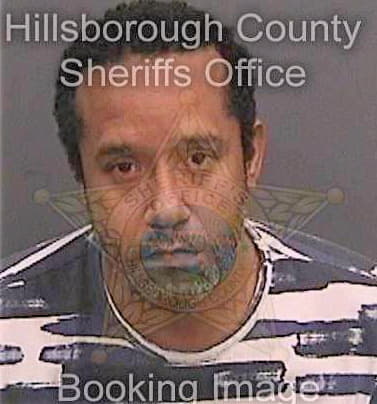 Mcgugin Alfred - Hillsborough County, FL 