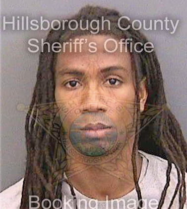 Lewis Ronald - Hillsborough County, FL 