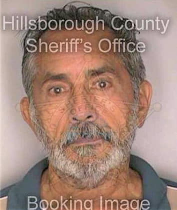 Martinez Gerardo - Hillsborough County, FL 