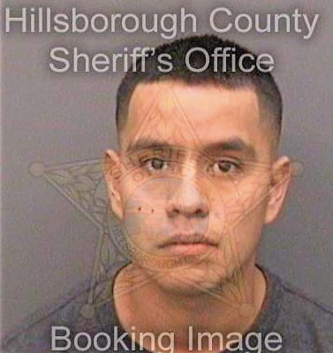 Lopezsanchez Hugo - Hillsborough County, FL 