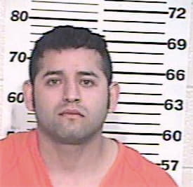 Hernandez Jesus - Hidalgo County, TX 