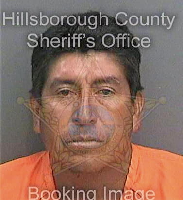 Fernandezperez Didier - Hillsborough County, FL 