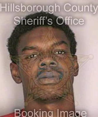 Mcduffie Alexander - Hillsborough County, FL 