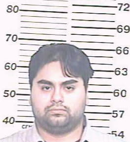 Hernandez Roberto - Hidalgo County, TX 