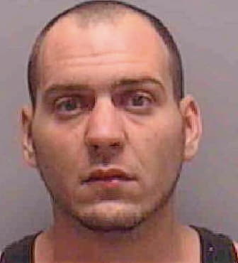Stiegler Sean - Lee County, FL 