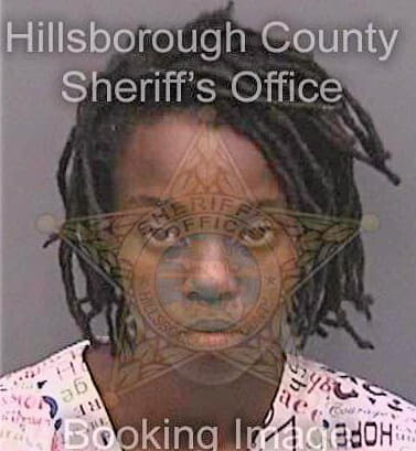 Pratt Johnmeisha - Hillsborough County, FL 