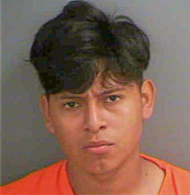 Hernandez Eswin - Collier County, FL 