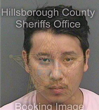 Nguyen Henry - Hillsborough County, FL 