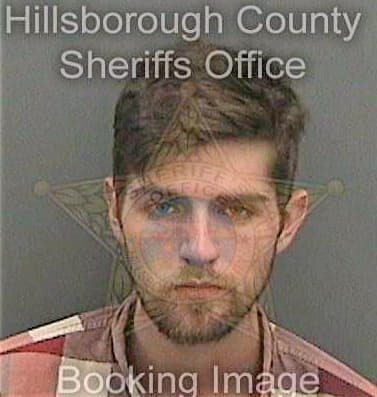 Lewis Jason - Hillsborough County, FL 