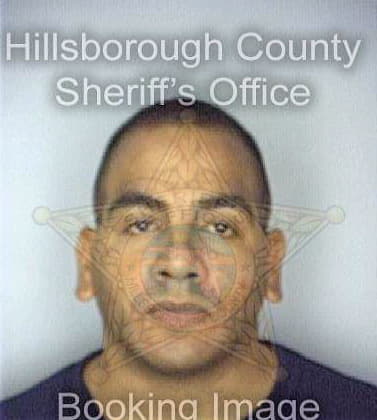 Castro Daniel - Hillsborough County, FL 