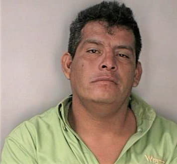 Gonzalez Jose - Hillsborough County, FL 