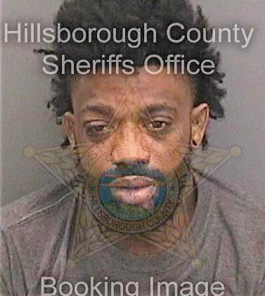 Reeves Harold - Hillsborough County, FL 