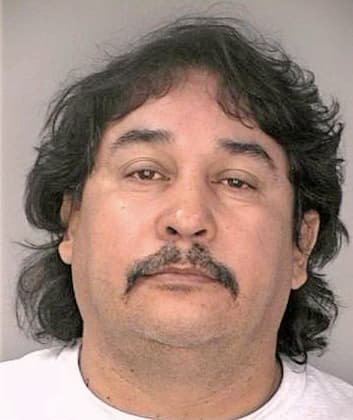 Meza Herminino - Hillsborough County, FL 