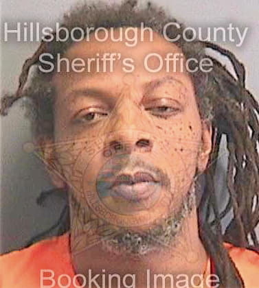 Mcdowell James - Hillsborough County, FL 