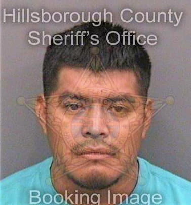 Zeferinorequeno Roberto - Hillsborough County, FL 