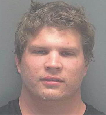 Bevins Aaron - Lee County, FL 