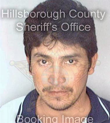 Bonilla Agustin - Hillsborough County, FL 