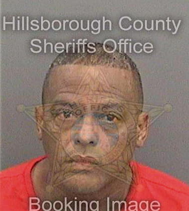 Gonzalezsolano Agustin - Hillsborough County, FL 