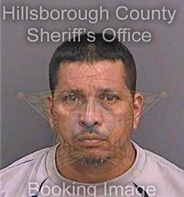 Gomez Carlos - Hillsborough County, FL 